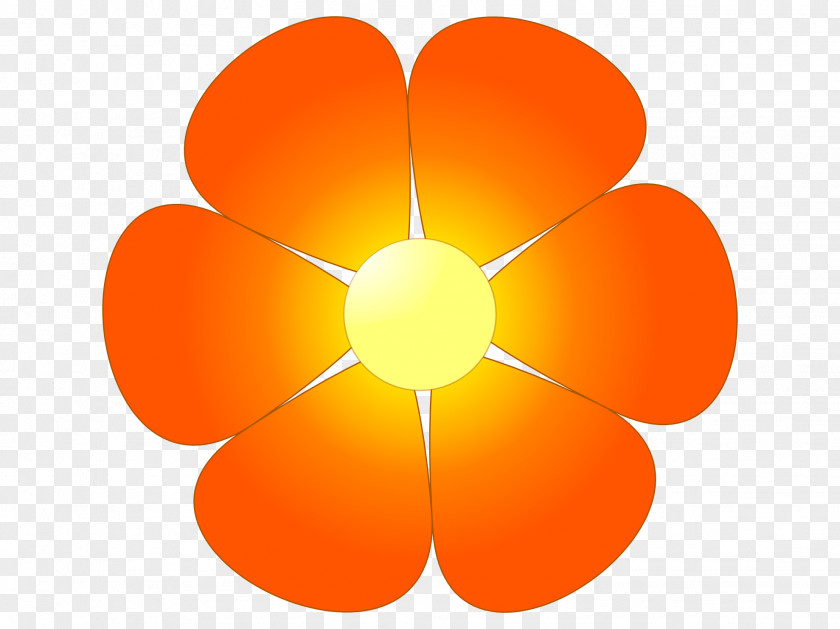 Flower Clip Art Orange Blossom PNG
