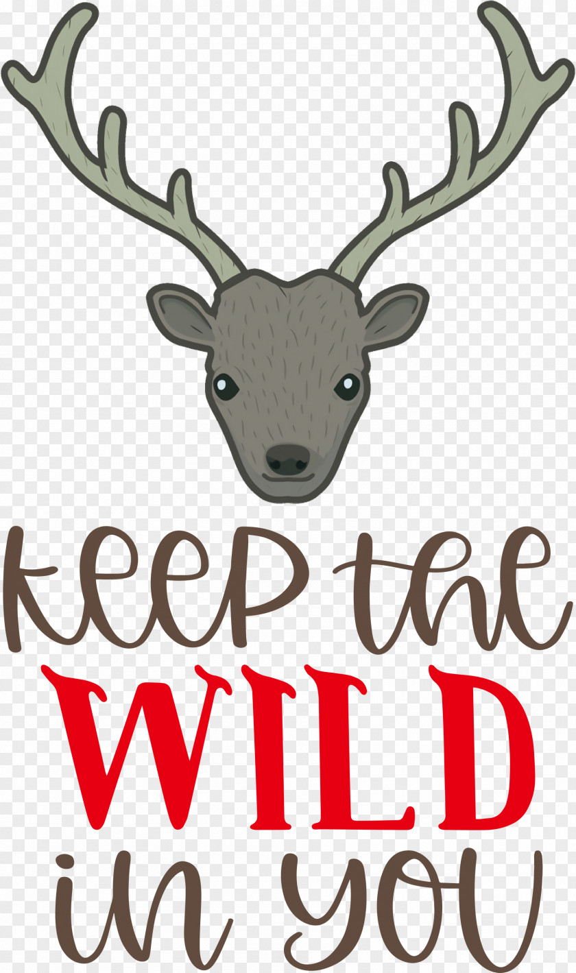 Keep Wild Deer PNG