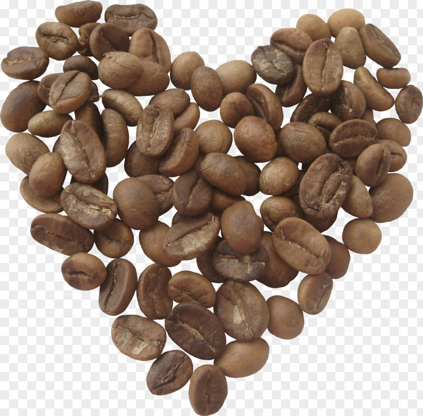 Quality Coffee Beans Jamaican Blue Mountain Espresso Tea Cafe PNG