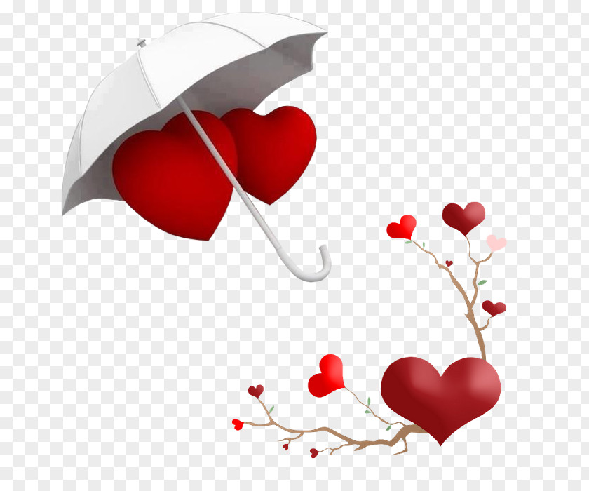 Valentin Valentine's Day Heart PNG
