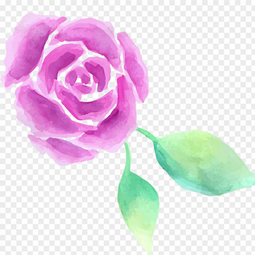 Watercolor Flowers Garden Roses Centifolia Painting PNG