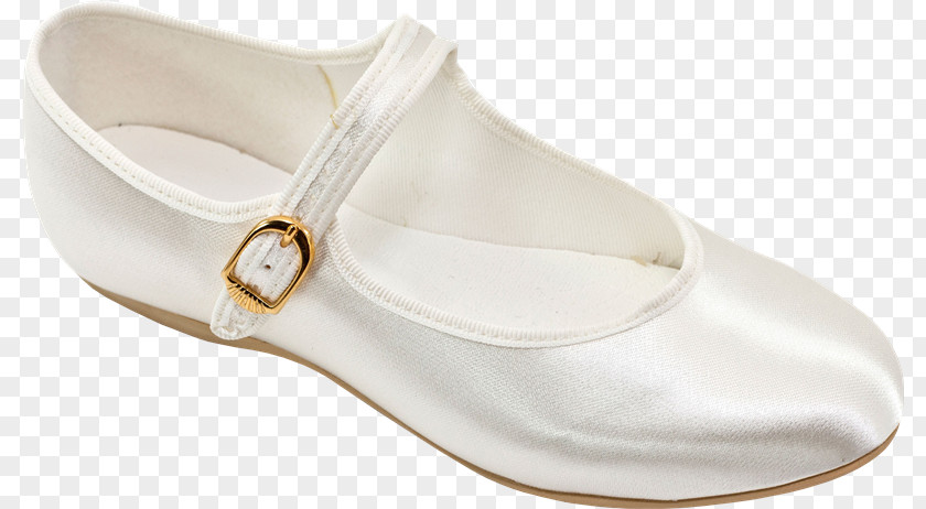 Zapato Ballet Flat Shoe PNG