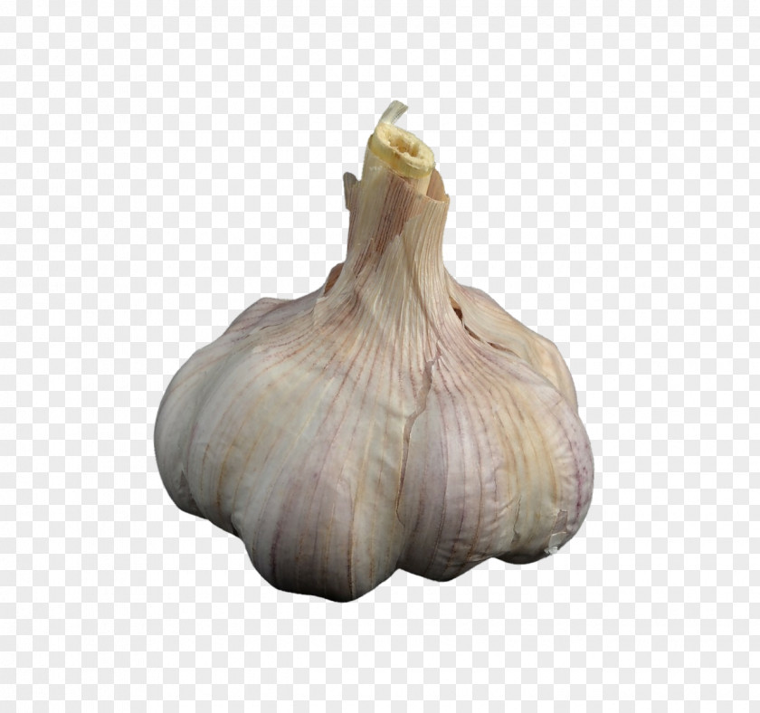 Garlic Vegetable Herb Food Potato PNG