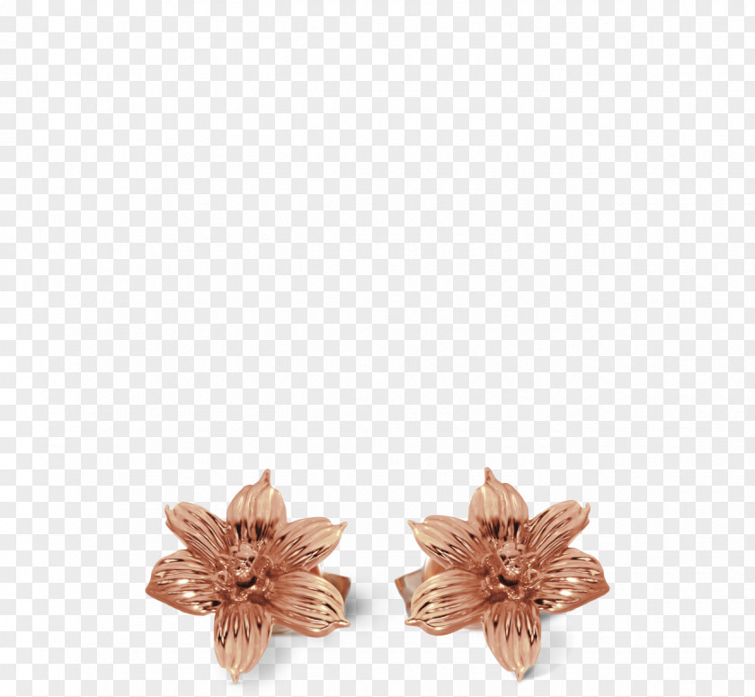 Gold Studded Bra Earring Sisyrinchium Bermudiana The Jewellery Davidrose Studio PNG