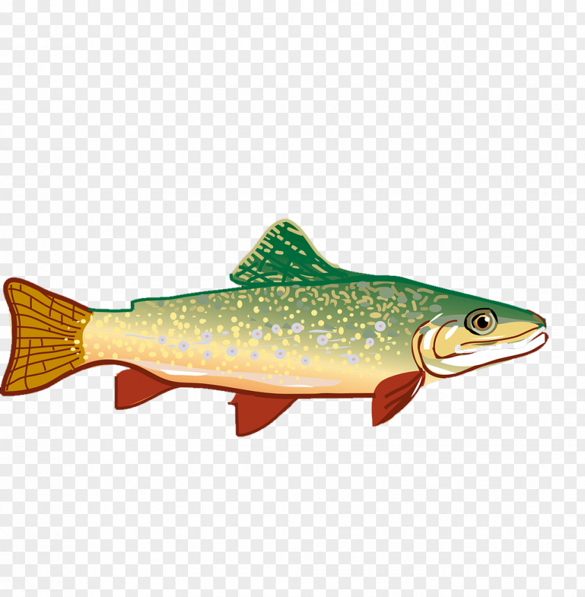 Hand-painted Small Fish Rainbow Trout Clip Art PNG