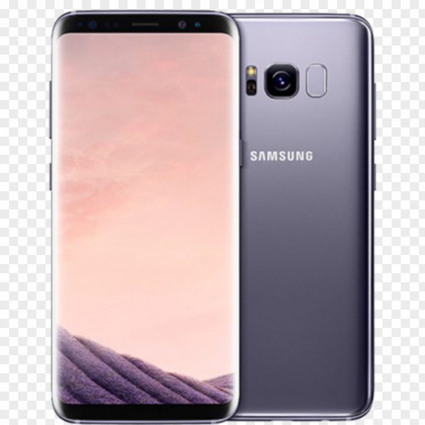 Samsung Galaxy S8+ S Plus 4G Orchid Gray PNG