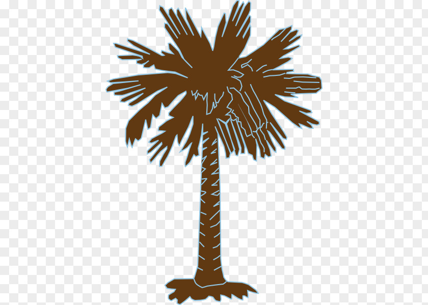 South Carolina Sabal Palm Flag Of Arecaceae Tree PNG
