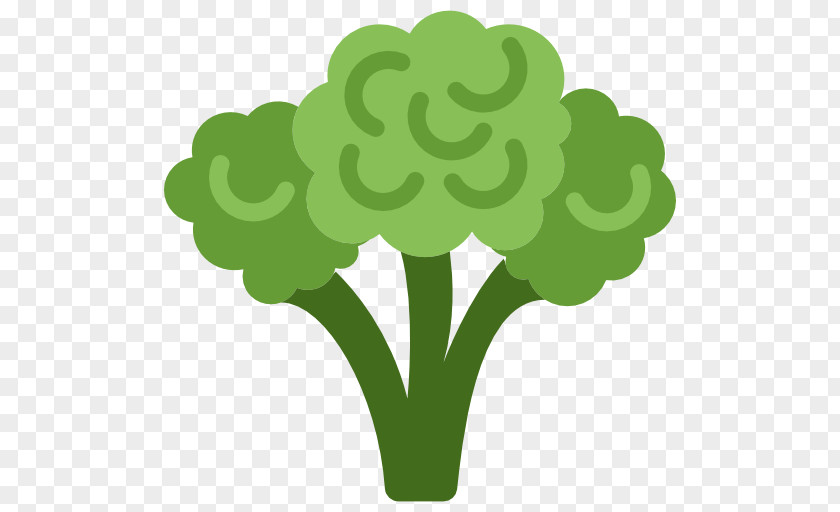 Broccoli Organic Food Vegetarian Cuisine Vegetable PNG
