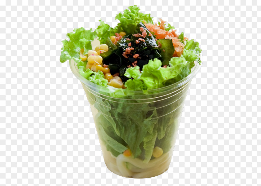 Seaweed Health Shake Salad Leaf Vegetable Pepper Lunch Food PNG