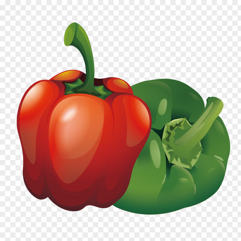 Vector Space Pepper Tabasco Habanero Cayenne Bell Euclidean PNG