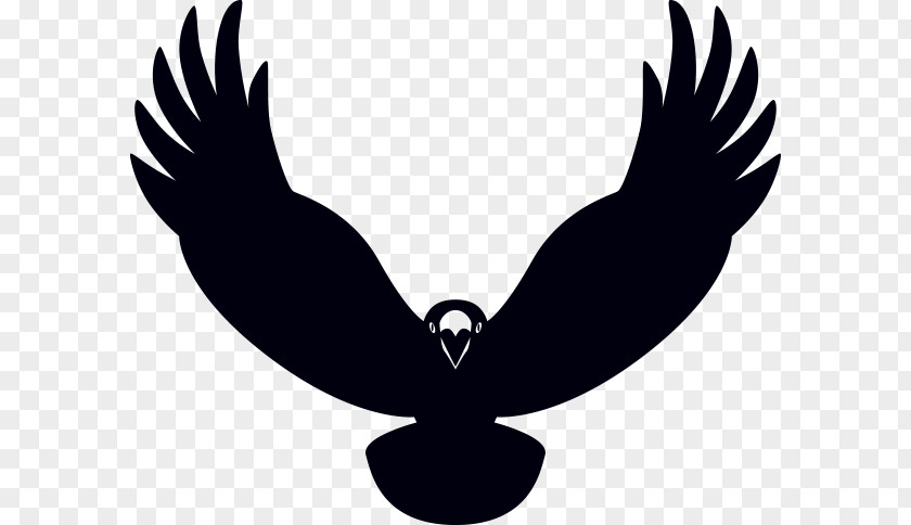 Eagle Beak Black Silhouette Clip Art PNG
