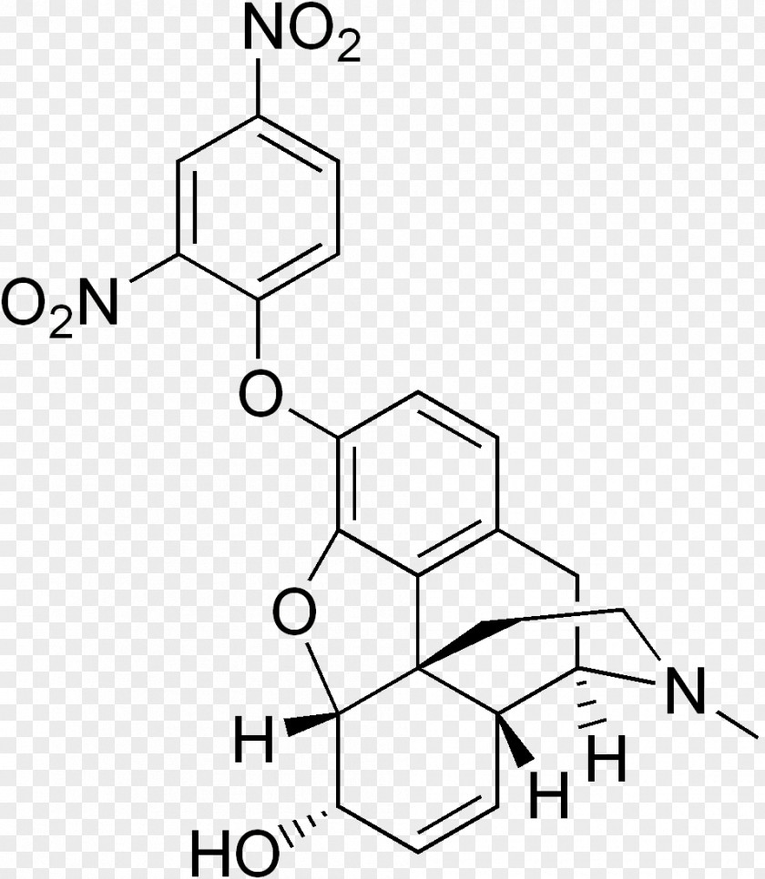 Porphine N-Phenylacetyl-L-prolylglycine Ethyl Ester Dietary Supplement Opioid Nootropic Pharmaceutical Drug PNG