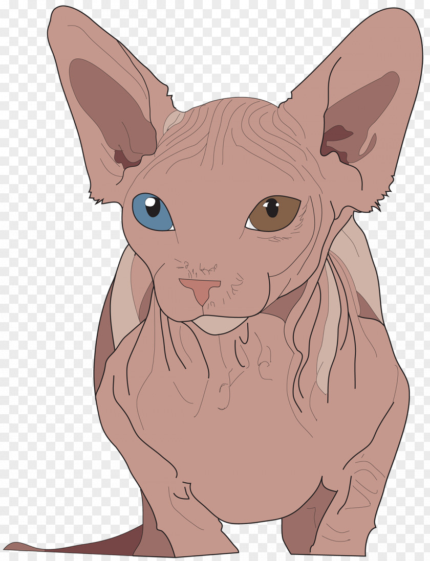 Sphynx Vector Cat Donskoy Peterbald Whiskers Illustration PNG