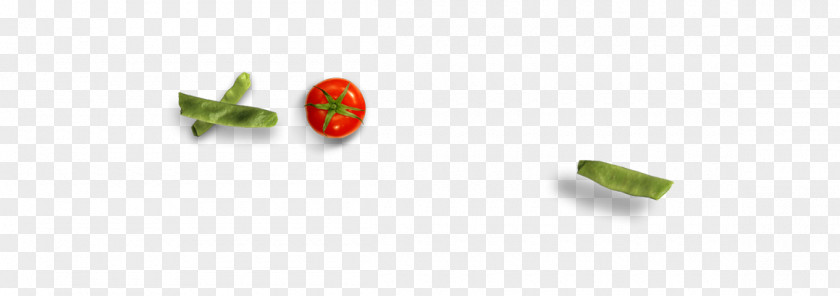 Vegetable Fruit PNG