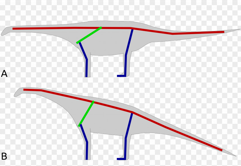 Dinosaur Opisthocoelicaudia Euhelopus Gobi Desert Diplodocus Brachiosaurus PNG