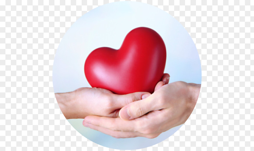 Heart Donation Foundation Organization PNG
