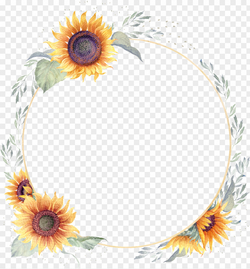 Picture Frame Daisy Family PNG