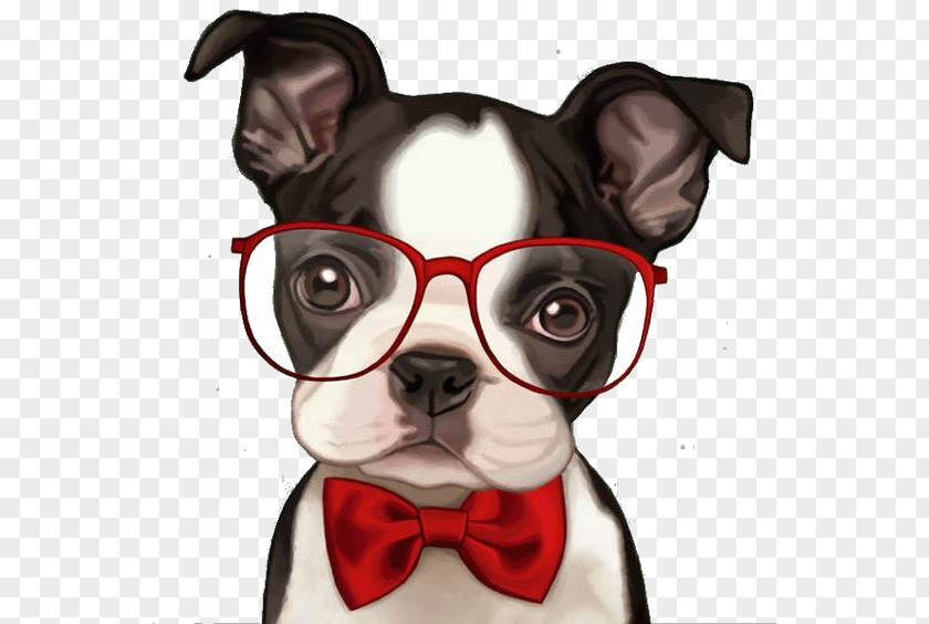 Puppy French Bulldog Boston Terrier Pug PNG