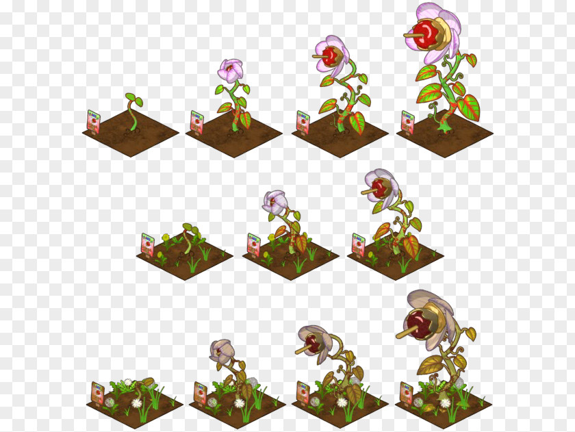 Tree Timeline Growing Pumpkins Watermelon A Pumpkin Maize PNG