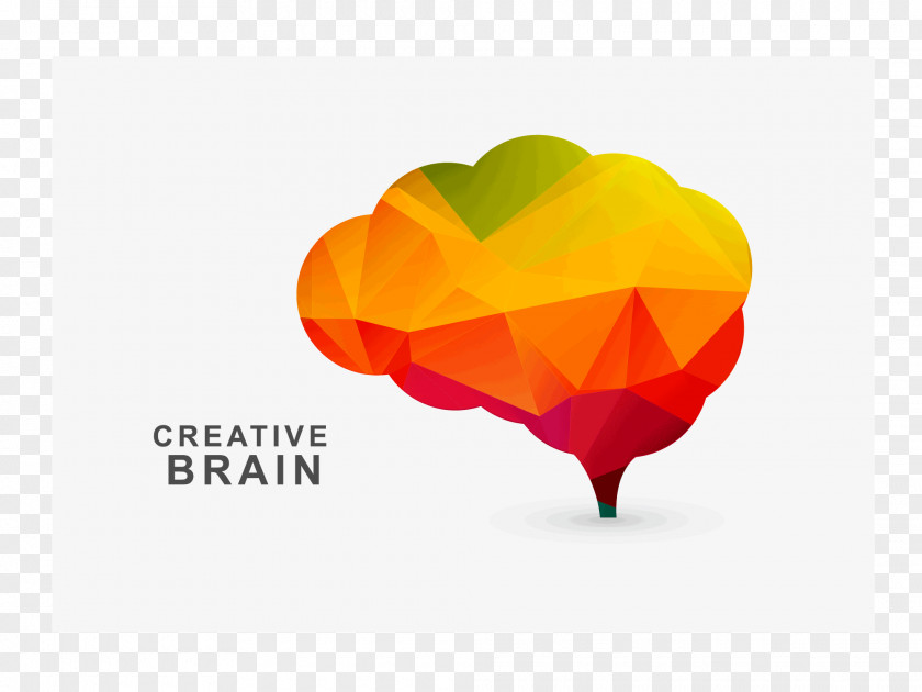 Brain Creativity Art PNG