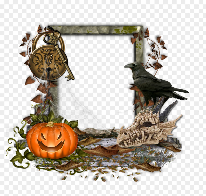Halloween Frame Picture Frames GIF Clip Art Graphic Design PNG