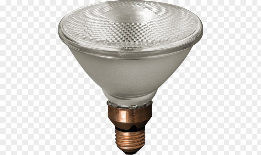 Lamp Lighting Halogen Lumen Electric Light PNG