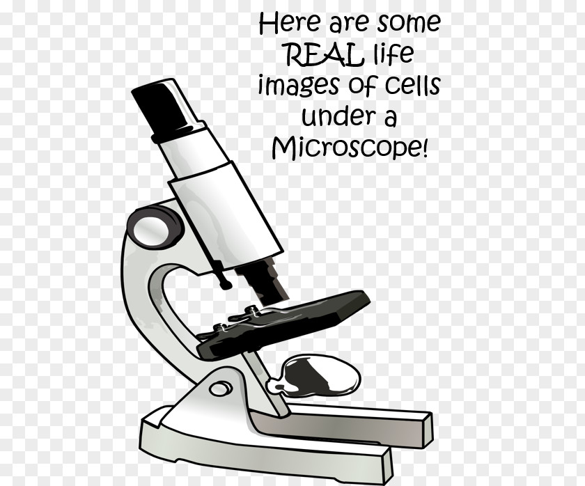 Microscope Laboratory Science Cell Echipament De Laborator PNG