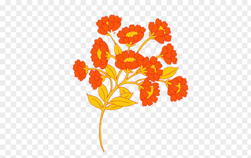 Vector Chrysanthemum Xd7grandiflorum Cartoon Flower PNG