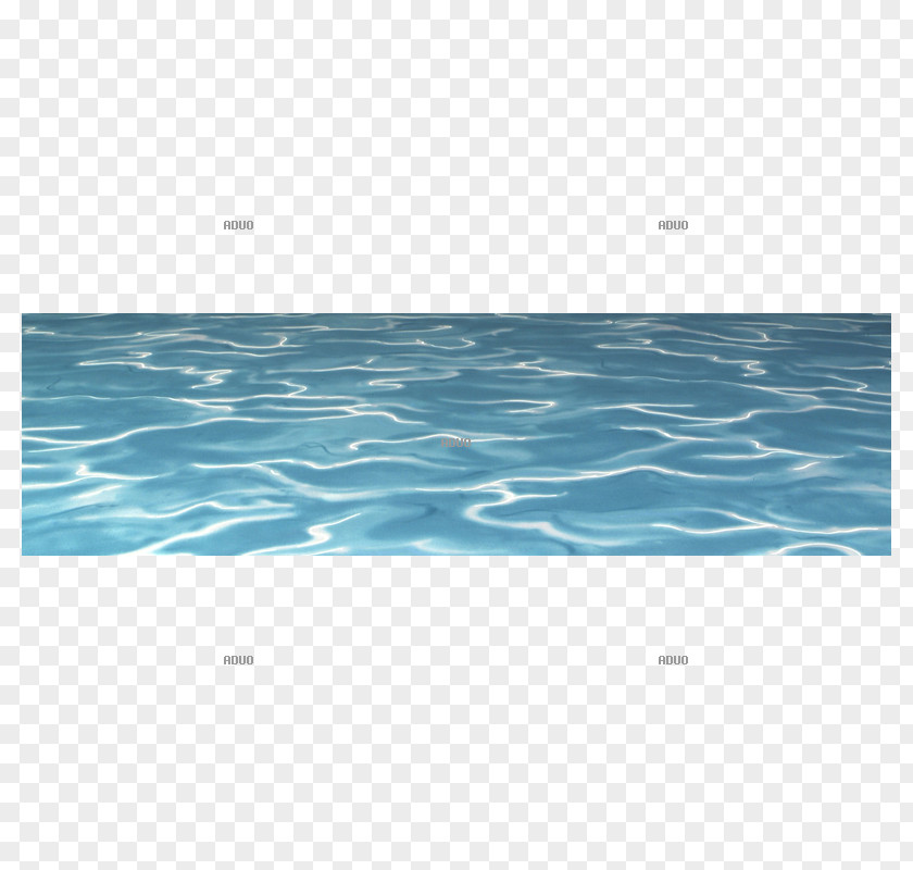 Water Resources Marine Mammal Desktop Wallpaper Turquoise PNG