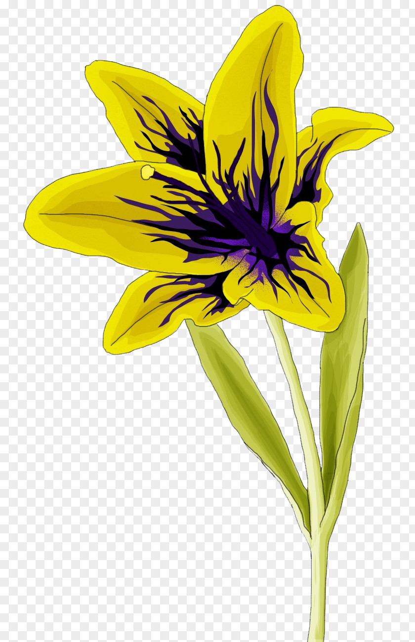 Alstroemeriaceae Cut Flowers Plant Stem Daylily PNG