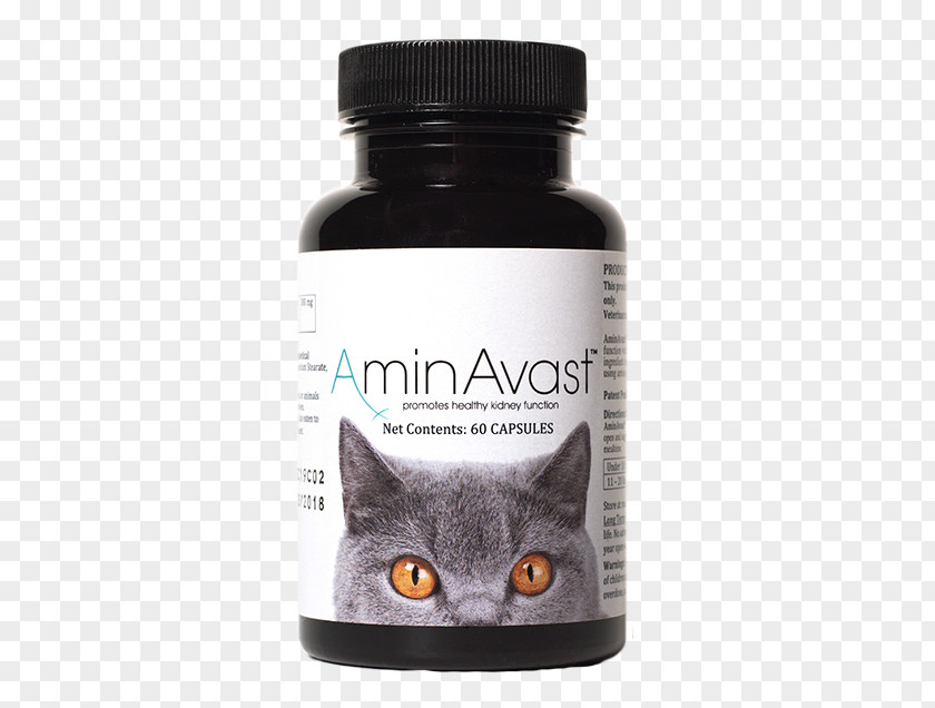 Cat Dog Dietary Supplement Veterinarian Felidae PNG