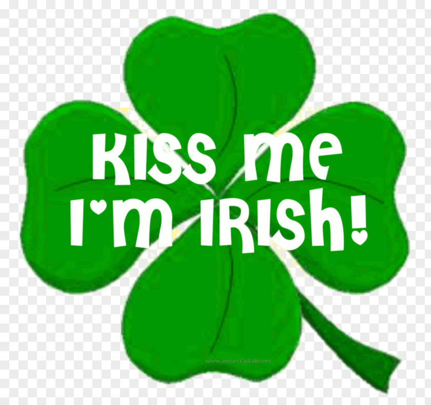 Ipl Irish Skin Saint Patrick's Day People GIF Leprechaun Clip Art PNG