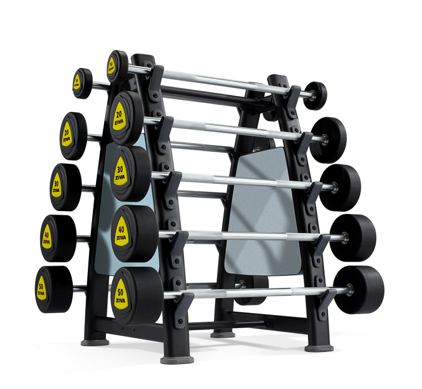 Barbell Physical Fitness Dumbbell Centre Exercise Machine PNG