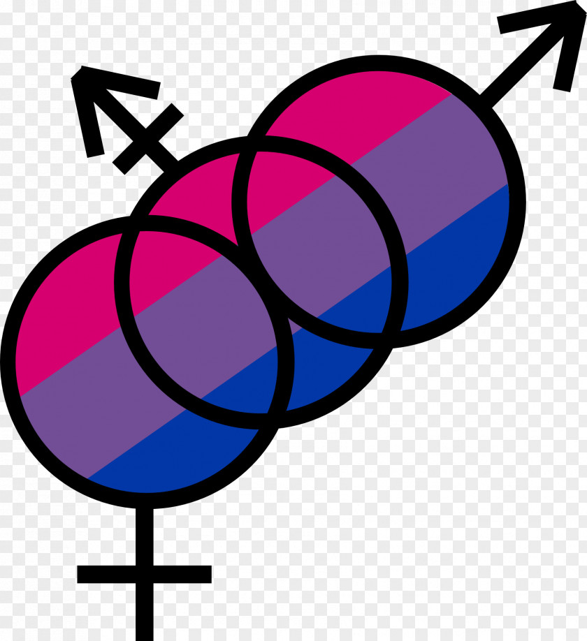 Bisexuality LGBT Gay Pride Bisexual Flag Queer PNG pride flag Queer, others clipart PNG