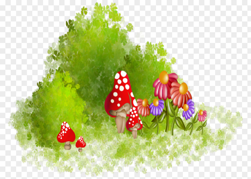 Color Flower Grass Mushroom PNG