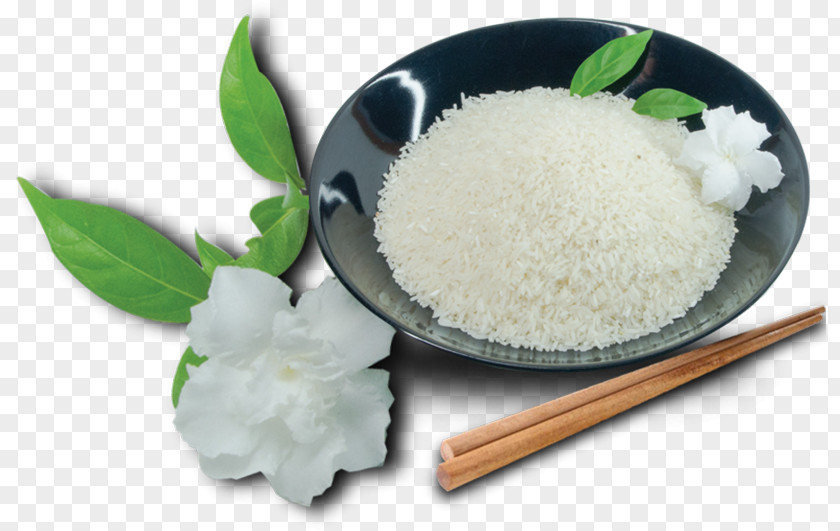 Rice White Jasmine Cooked Oryza Sativa PNG