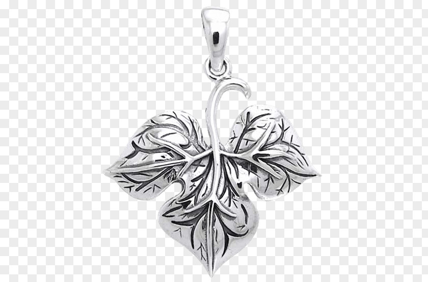 Silver Leaf Leontopodium Nivale Edelweiss Locket Dirndl PNG