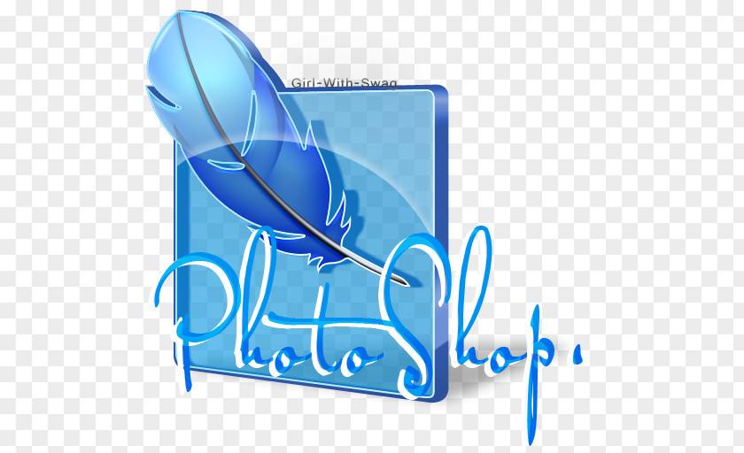 Swag Computer Software Photography PNG