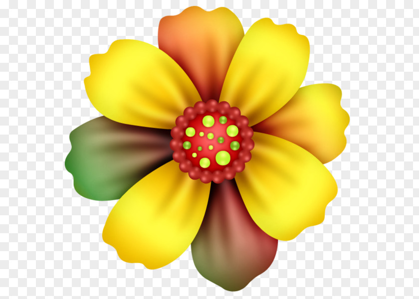 Uma Cama De Flor Colorida Flower Drawing Image Color Animation PNG