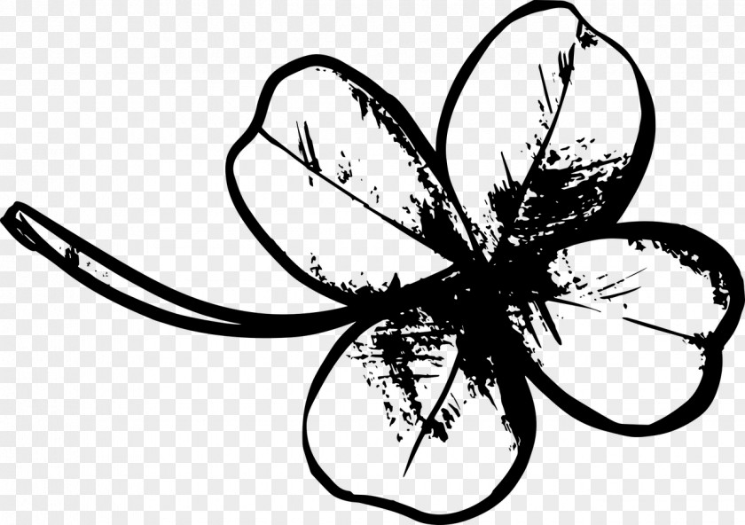 Clover Four-leaf Drawing PNG