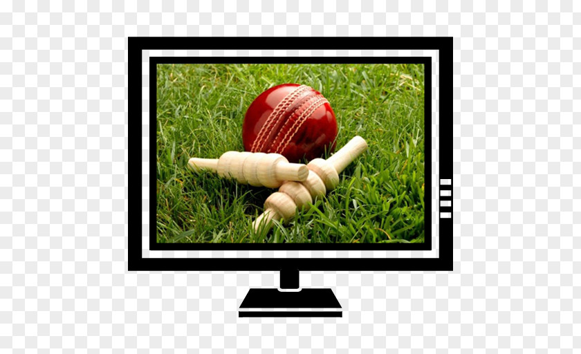 Cricket England Team India National World Cup Desktop Wallpaper PNG