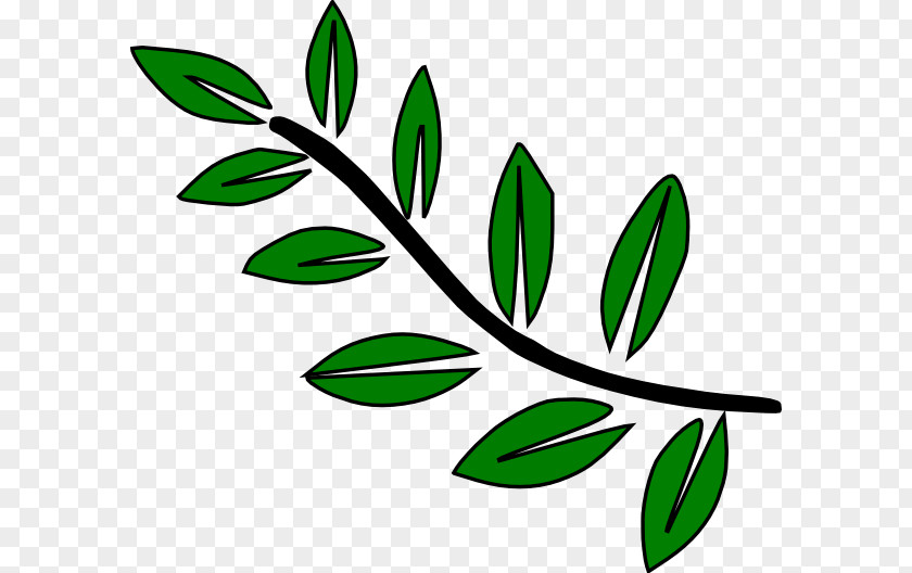 Leaf Branch Tree Drawing Clip Art PNG