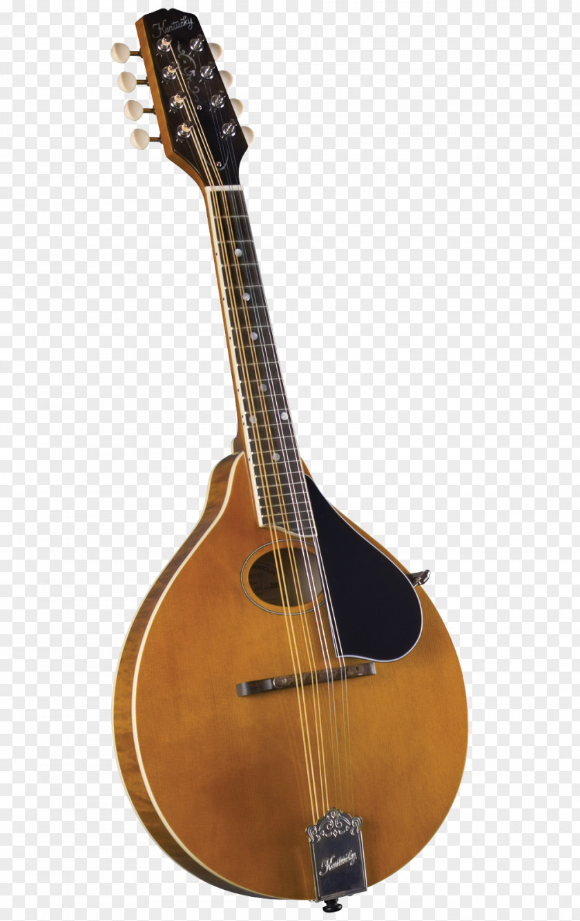 Musical Instruments Mandolin Sound Hole Ukulele Kentucky PNG