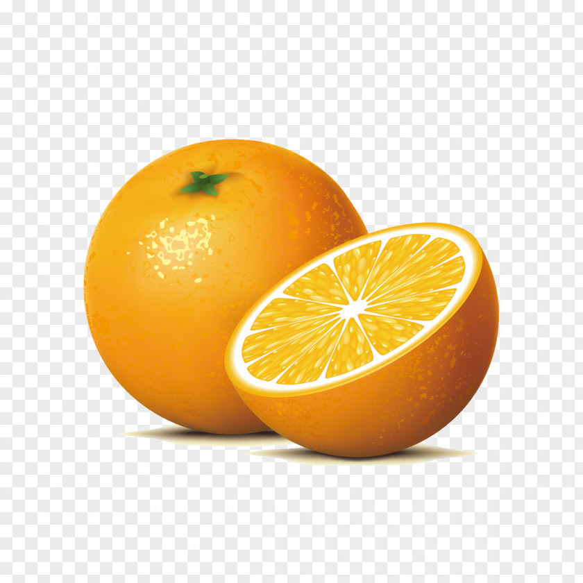 Orange Juice Lemon Orangelo Clip Art PNG