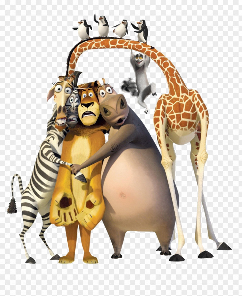 Puss In Boots YouTube Madagascar Melman Animation PNG