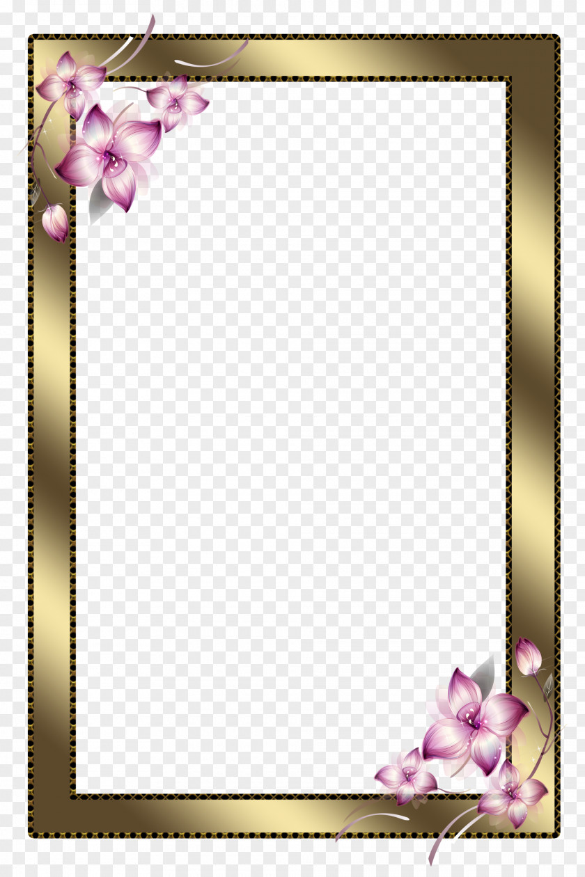 STYLE Flower Picture Frames PNG