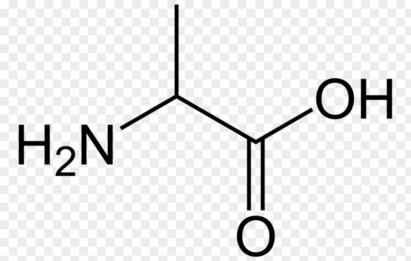 Amino Acid Glycine Carboxylic Amine PNG