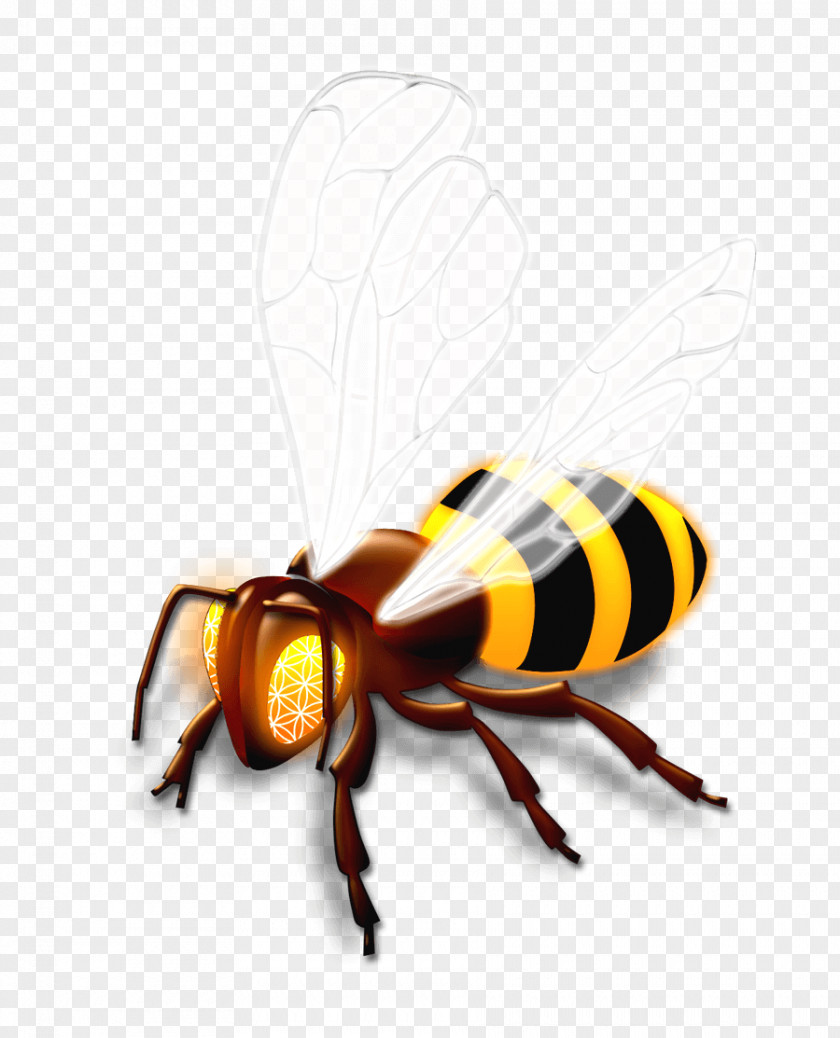 Bee Honey Hornet Wasp PNG