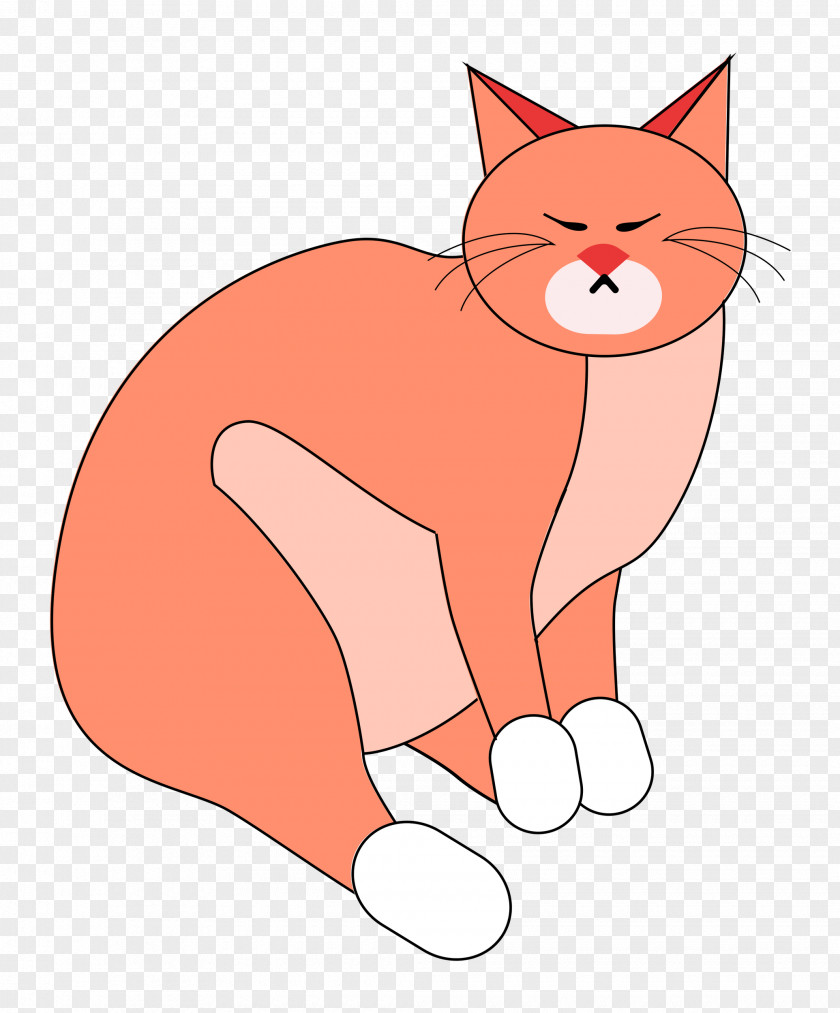 Cat Kitten Wildcat Red Fox Whiskers PNG