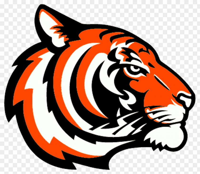 Cincinnati Bengals Bengal Tiger Logo Clip Art PNG